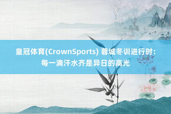 皇冠体育(CrownSports) 蓉城冬训进行时：每一滴汗水齐是异日的高光