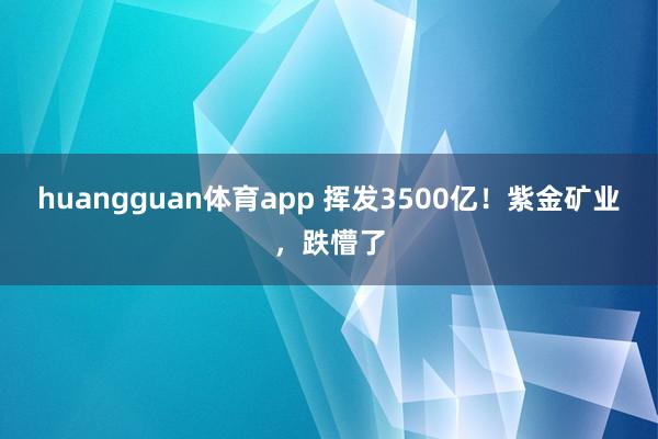 huangguan体育app 挥发3500亿！紫金矿业，跌懵了