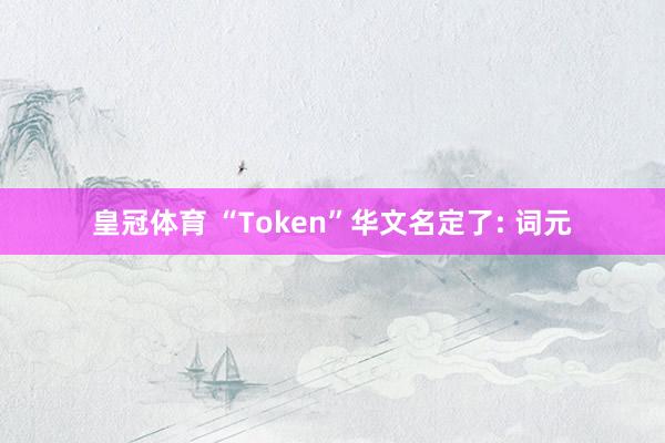 皇冠体育 “Token”华文名定了: 词元