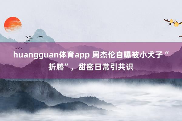 huangguan体育app 周杰伦自曝被小犬子“折腾”，甜密日常引共识