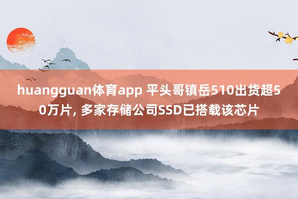 huangguan体育app 平头哥镇岳510出货超50万片， 多家存储公司SSD已搭载该芯片
