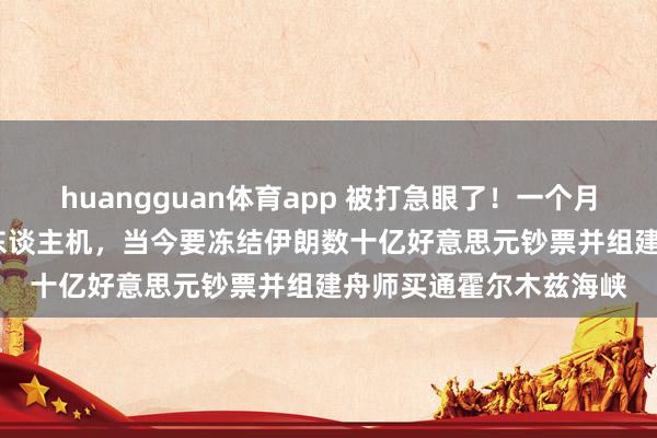 huangguan体育app 被打急眼了！一个月阻挠2000多架伊朗无东谈主机，当今要冻结伊朗数十亿好意思元钞票并组建舟师买通霍尔木兹海峡