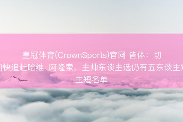 皇冠体育(CrownSports)官网 皆体：切尔西加快追赶哈维-阿隆索，主帅东谈主选仍有五东谈主短名单