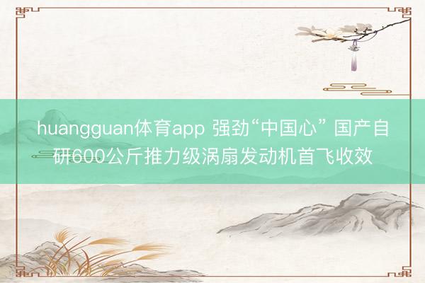huangguan体育app 强劲“中国心” 国产自研600公斤推力级涡扇发动机首飞收效